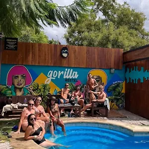 Hostal Gorilla Hostel